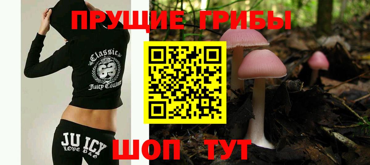 Псилоцибиновые грибы MAGIC MUSHROOMS Киров
