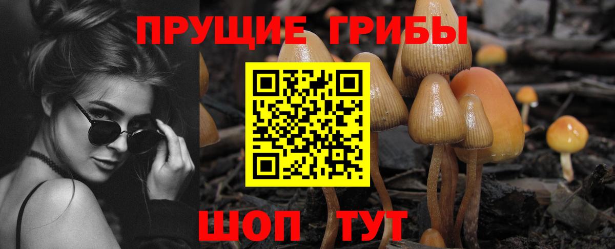 Киров  Псилоцибиновые грибы Psilocybine cubensis  Вход с VPN  Псилоцибиновые грибы прущие грибы 